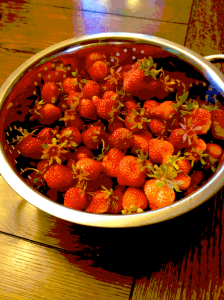 bowl of strawberries