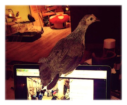 chicken and a computer