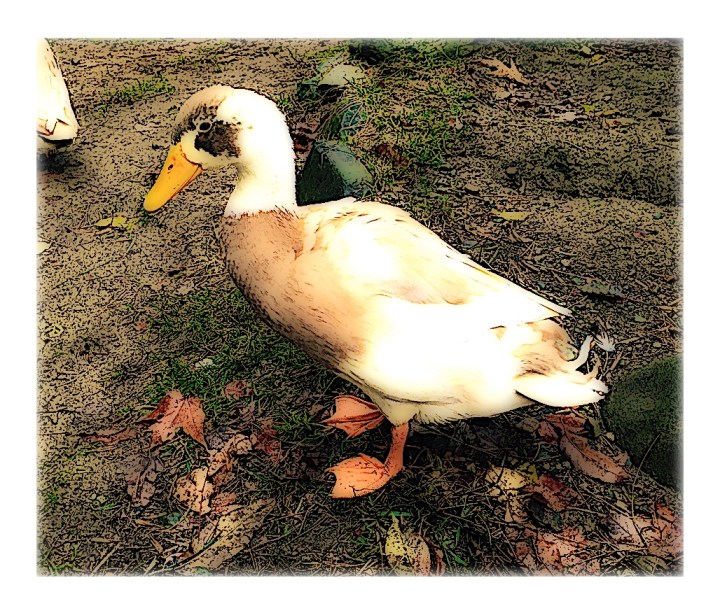 My Beautiful Antonio