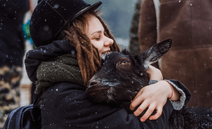 Screen Shot 2018-11-22 at 10.34.07 AM