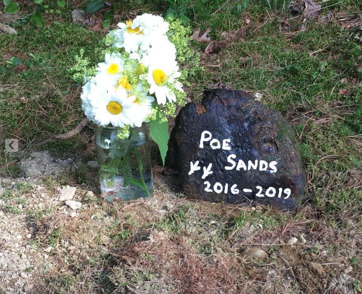 Screen Shot 2019-07-24 at 5.37.50 PM