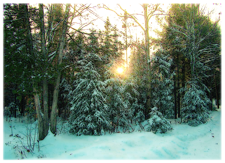 Screen Shot 2019-12-21 at 3.19.03 PM