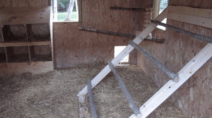 Screen Shot 2020-04-08 at 10.13.52 AM